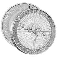 Silver Kangaroo